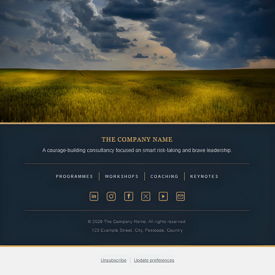 Mockup of a custom HTML email newsletter footer with a wheat field photograph at the top, then a navy block containing the placeholder name 'The Company Name', a brand tagline, navigation links for Programmes, Workshops, Coaching and Keynotes, six gold-outlined social icons, copyright text and an address, with Unsubscribe and Update preferences links underneath.