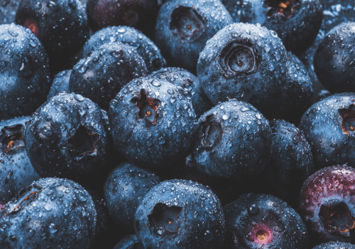 Fresh blueberries with water droplets, the visual register of the Nourish site