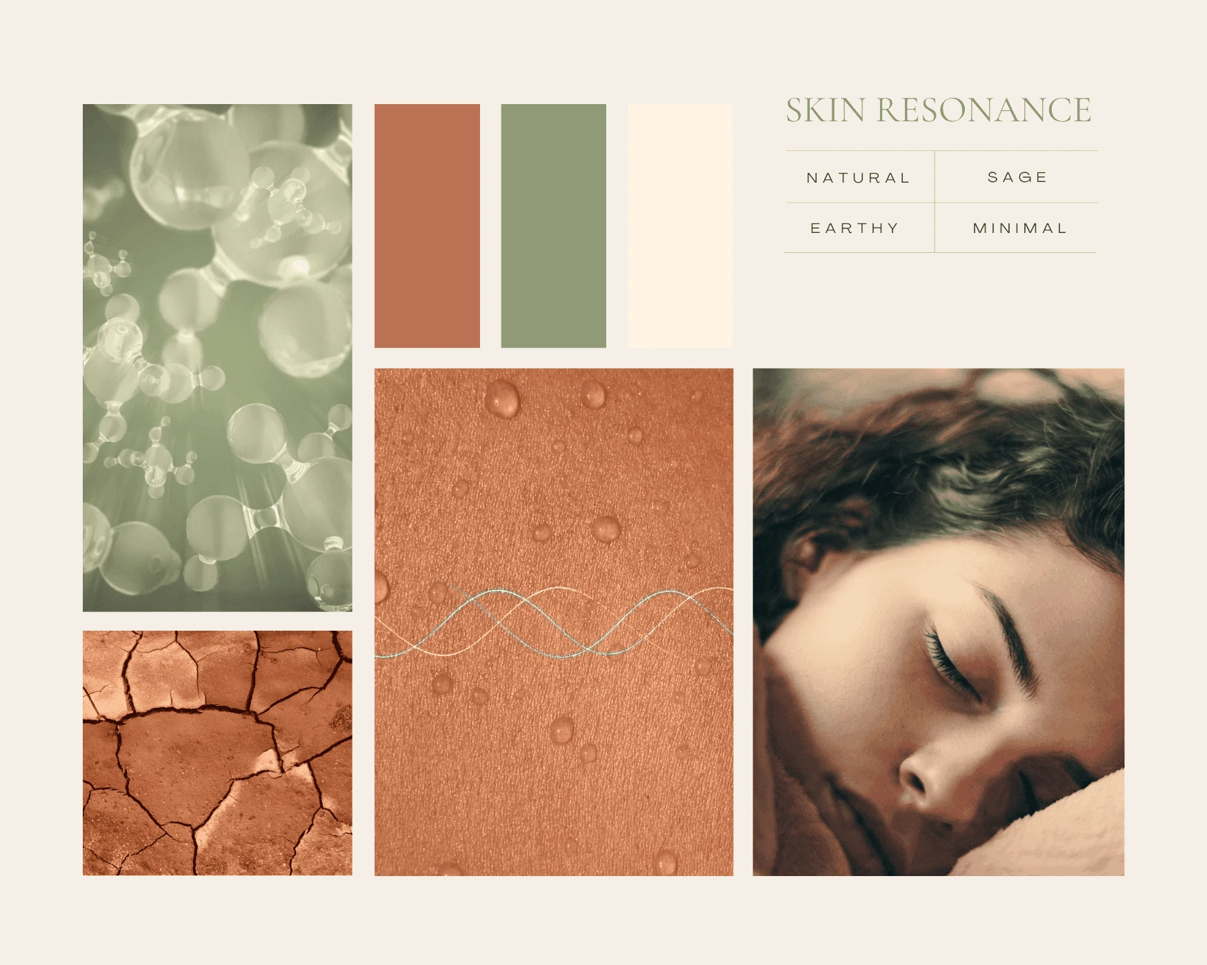 Skin Resonance palette board: espresso, warm brown, clay, sage and cream
